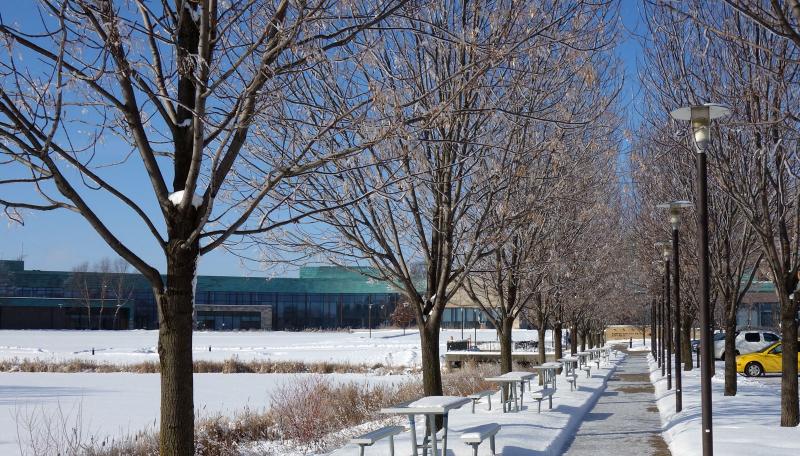 Bloomington Civic Plaza in winter. 