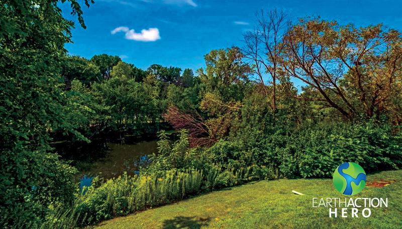 Lochmoor Condo Association pond
