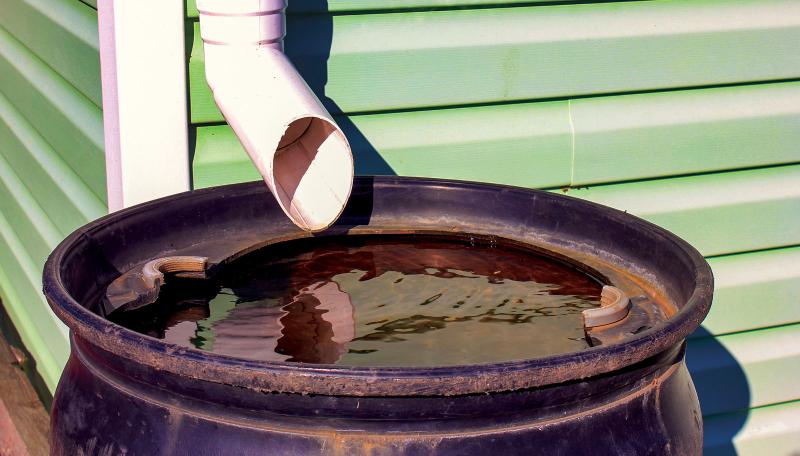 Rain barrel
