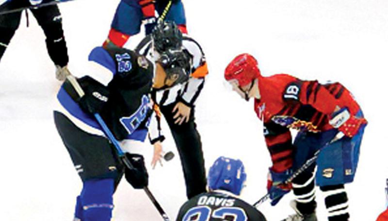 Police vs Fire hockey game