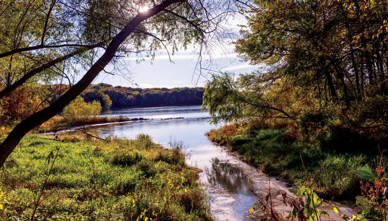 Nine Mile Creek