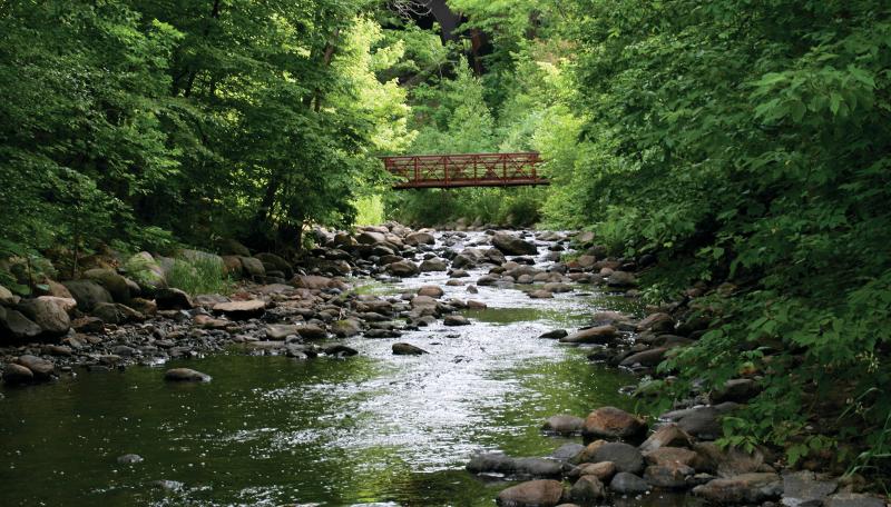 Nine Mile Creek