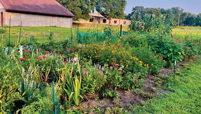 Community garden