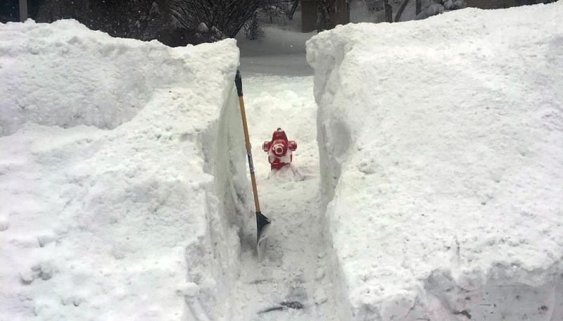 A hydrant in snowy weather, with a path cleared to it. 