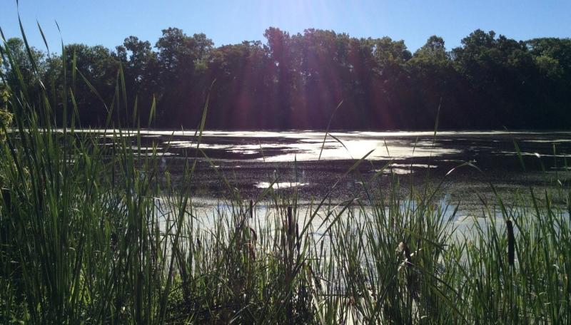 Lakes_Ponds.jpg