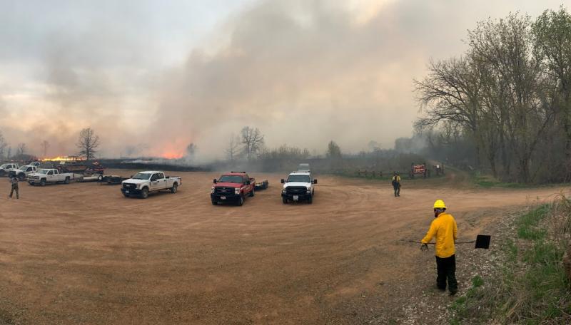 Controlled burn photo