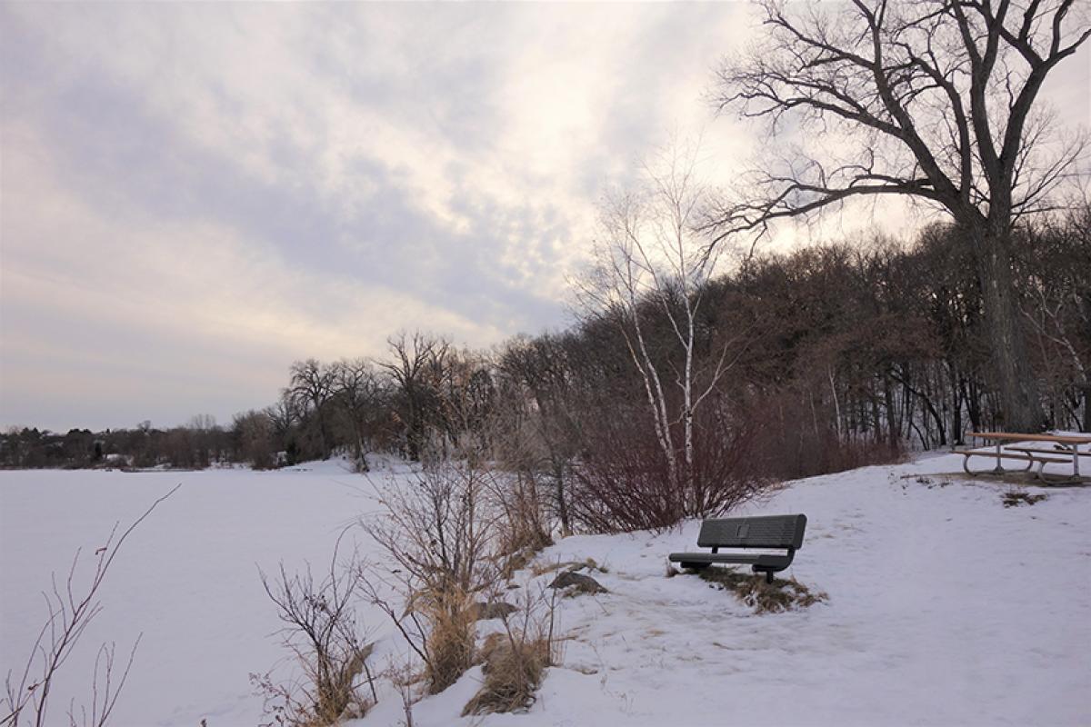 West Bush Lake Bench Winter