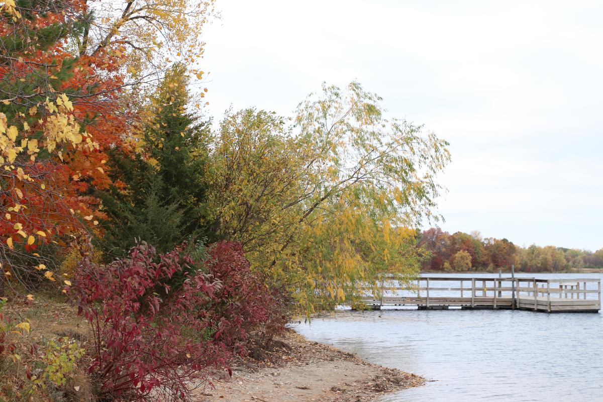 West Bush Lake fishing pier