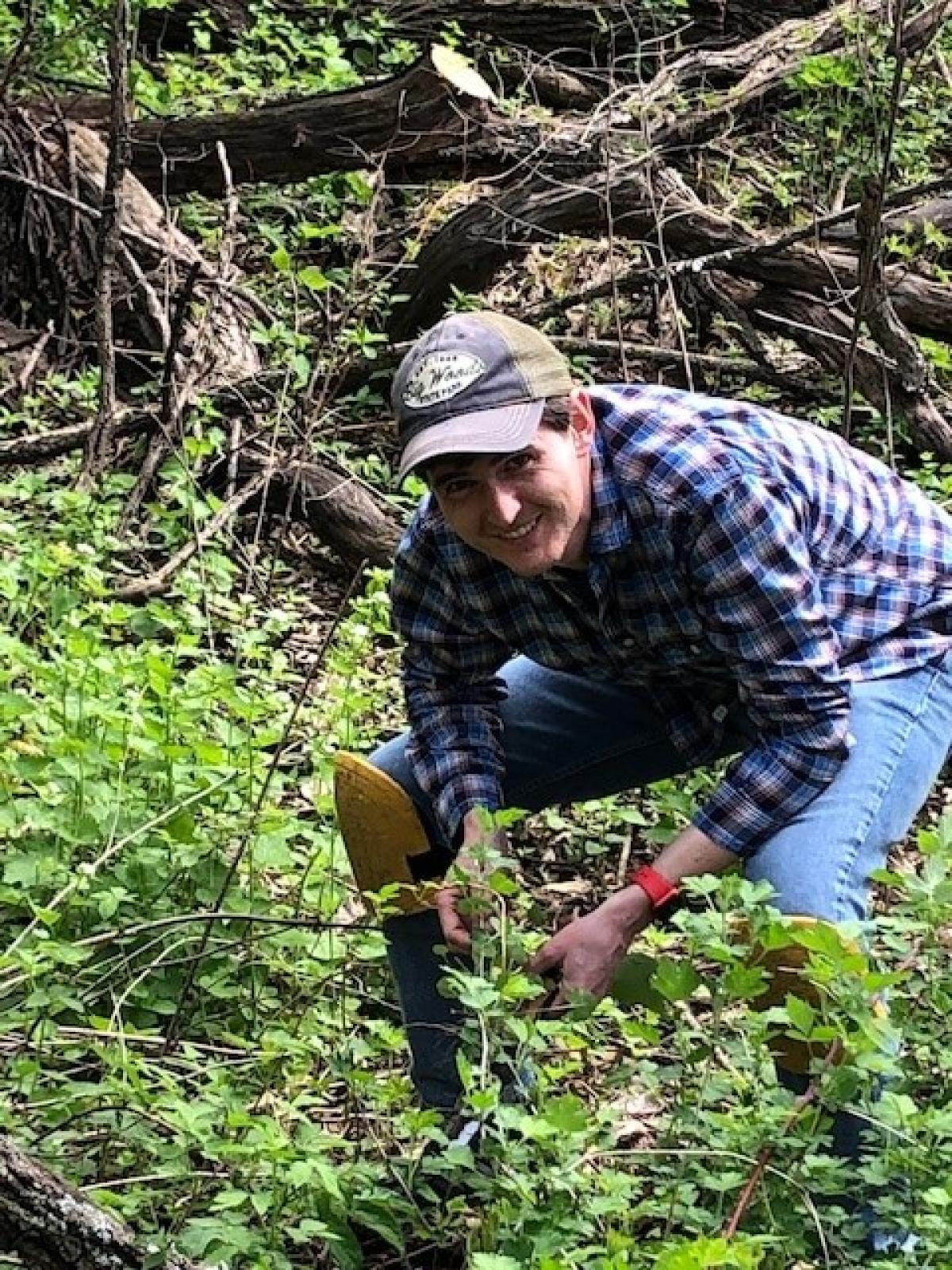 Garlic Mustard Volunteer 2