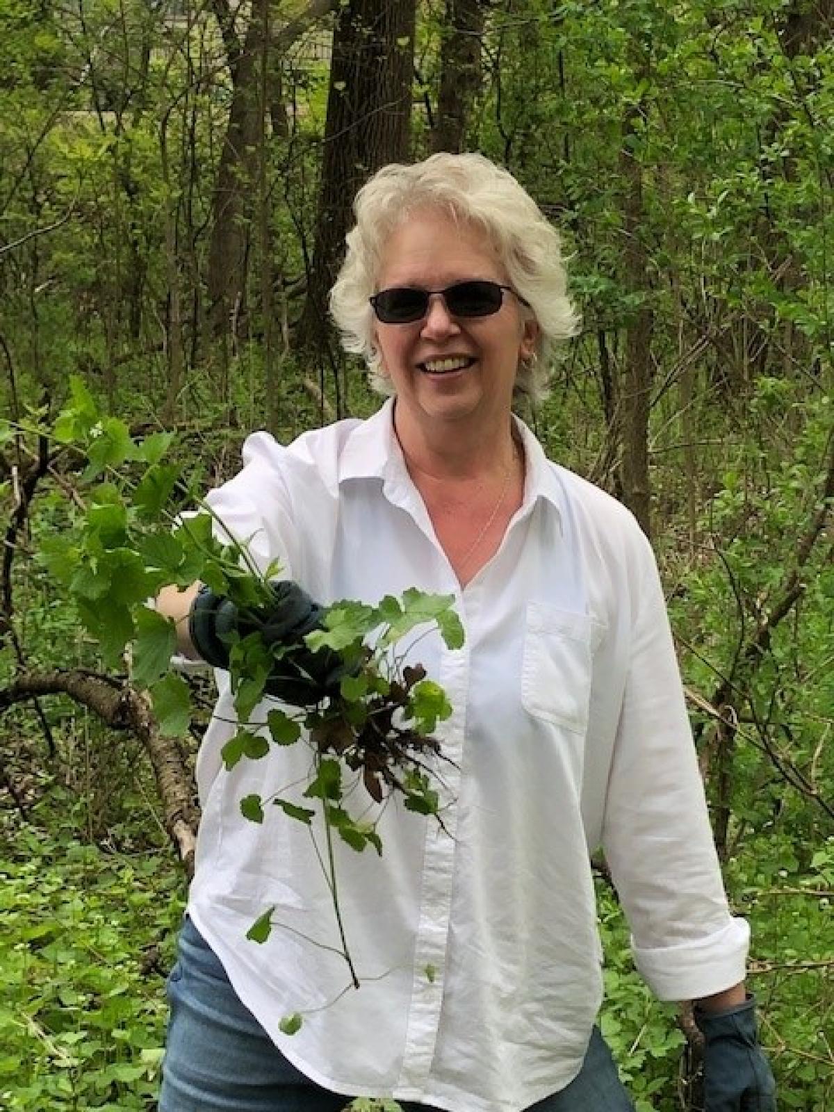 Garlic Mustard Volunteer 5