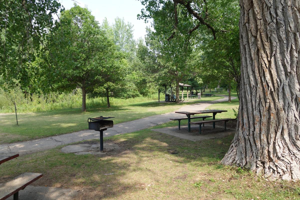 Bush Lake Beach north shelters and picnic area