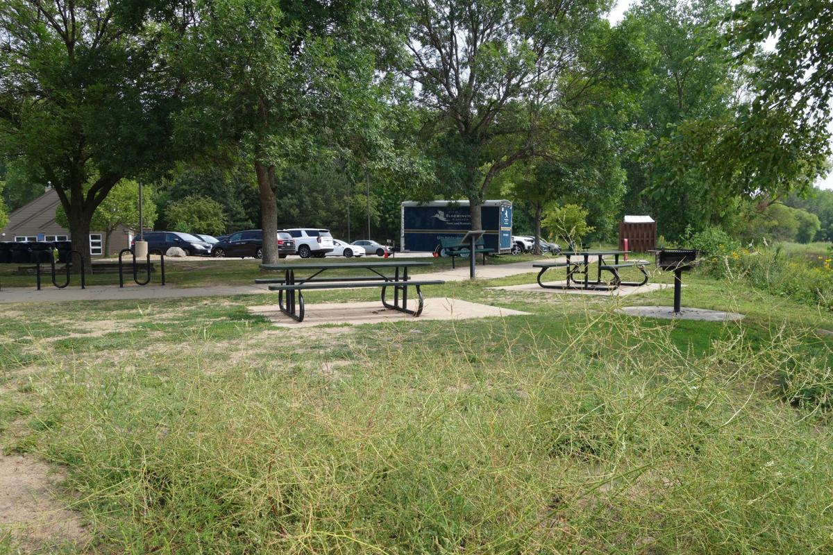 Bush Lake Beach south picnic tables