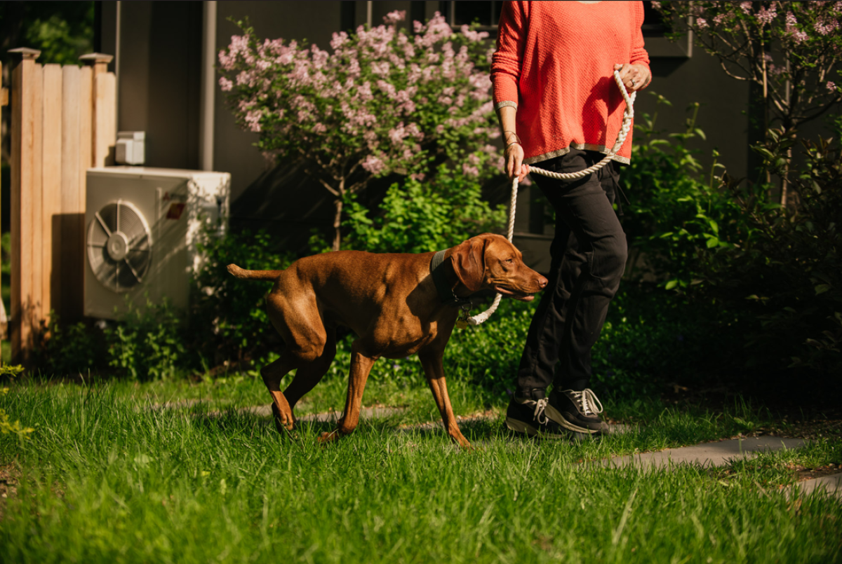 Person with dog next to heat pump condenser