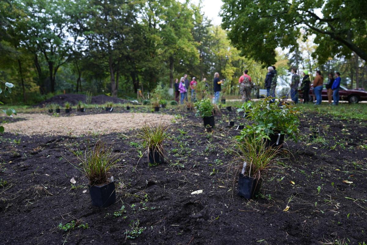 Plants awaiting planting at Indigenous Botanical Garden event September 2026