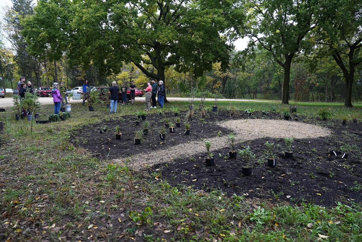 Photo of the full arboretum area at the Indigenous Botanical Garden September 2026