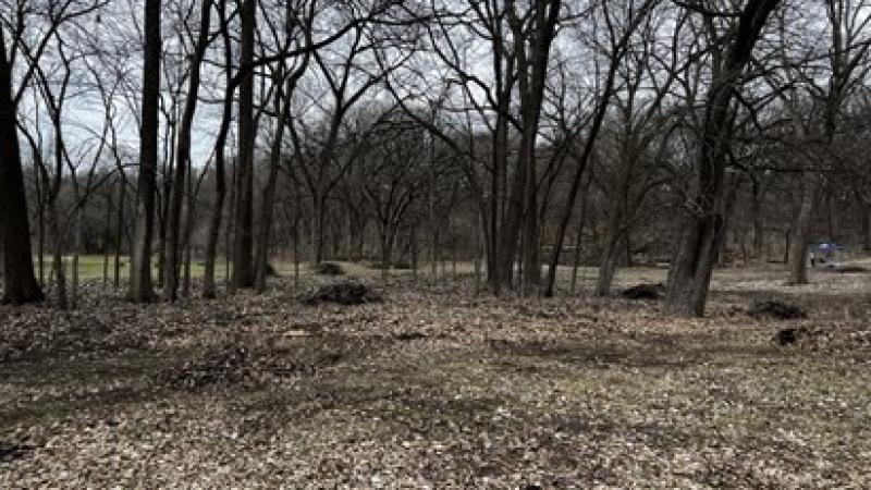 Harrison Park Cleanup 2021 C