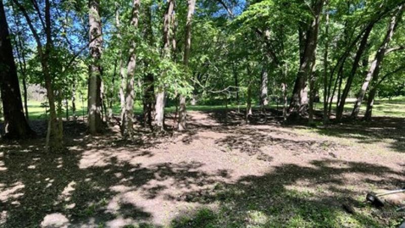 Harrison Park Cleanup 2021 D