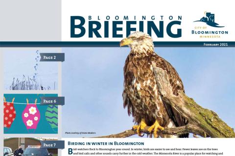 City of Bloomington Briefing cover image
