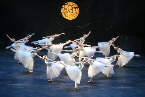 Swan Lake Continental Ballet