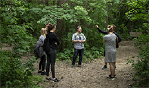 Forest Bathing 2