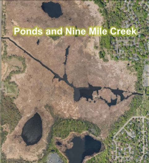 Ponds and Nine Mile Creek at Marsh Lake Park