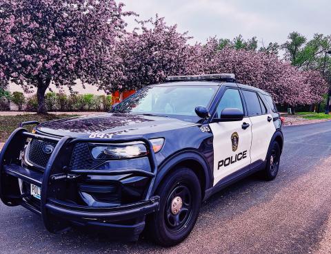 Bloomington Minnesota police squad car SUV under cherry trees with pink and white blooms