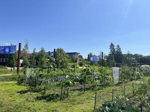 South Loop Community Garden