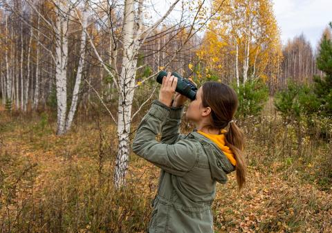 woman looking for birds through binoculars in autumn woods