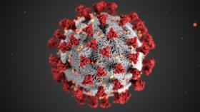 Conceptual image of a coronavirus cell. 
