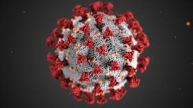 Conceptual image of a coronavirus cell.