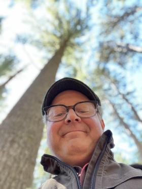 Forest Bathing 1