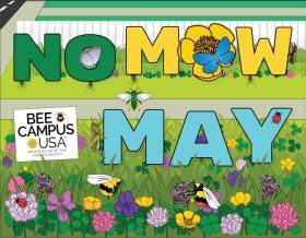 The words "No" "Mow" May" on a green lawn with flowers and bees in the foreground 