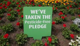 Green sign in flower garden saying "We've taken the pesticide-free pledge"
