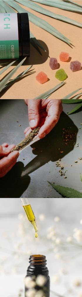 cannabis